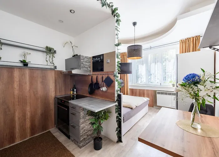 Apartamento Vinohrady